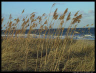 Travel Picture