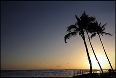 Hawaii With Rob